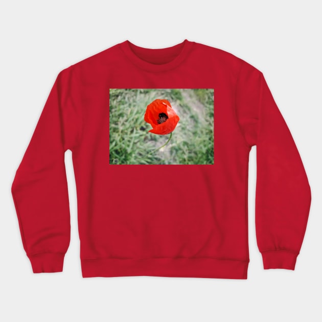 poppy Crewneck Sweatshirt by psychoshadow